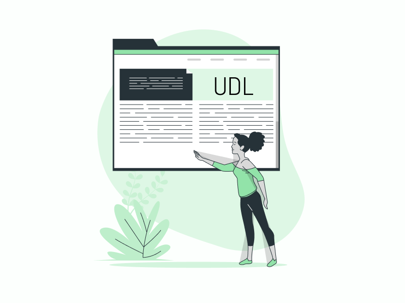 UDL Lesson Plan Template